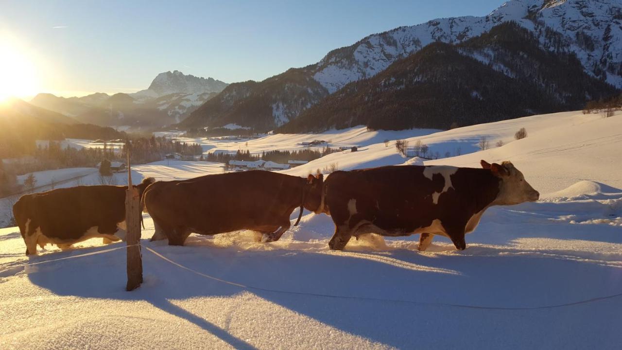 Bommerhof Waidring Exteriör bild