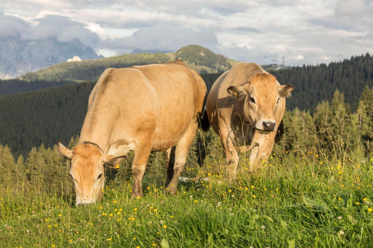 Bommerhof Waidring Exteriör bild