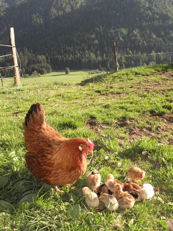 Bommerhof Waidring Exteriör bild