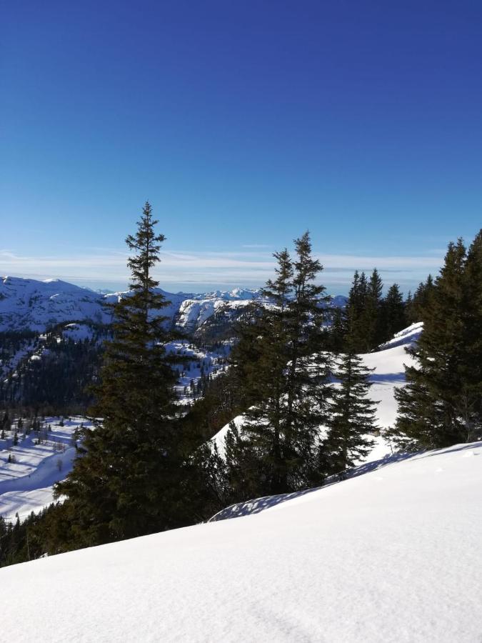 Bommerhof Waidring Exteriör bild