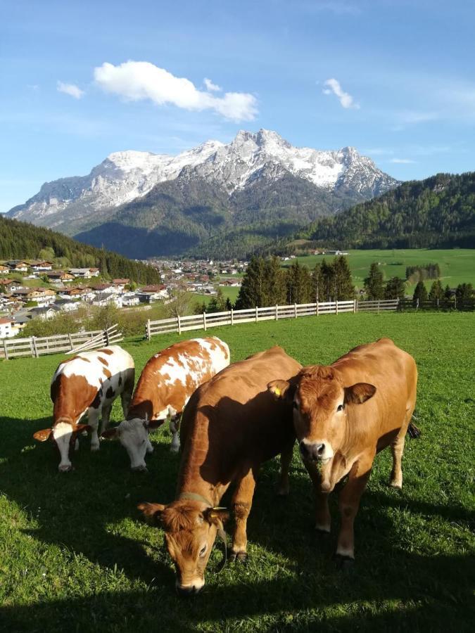 Bommerhof Waidring Exteriör bild